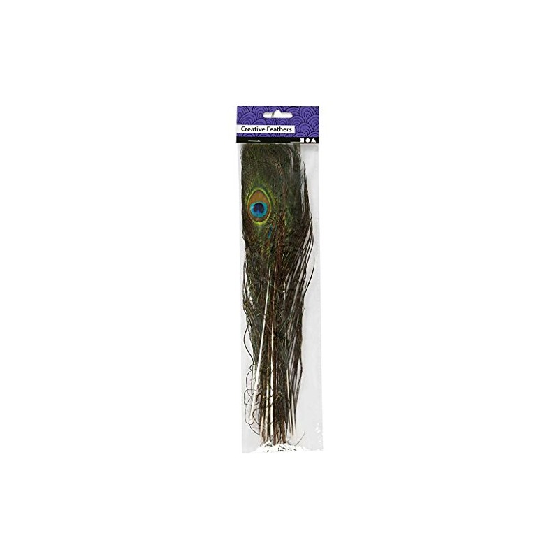 Peacock feathers, L: 25-30 cm, 10 pcs