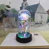 Eternal Rose Gift for Her – Acrylic Rose Display with