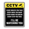 2 x 20cm Tall Funny CCTV Sign Vinyl Stickers -