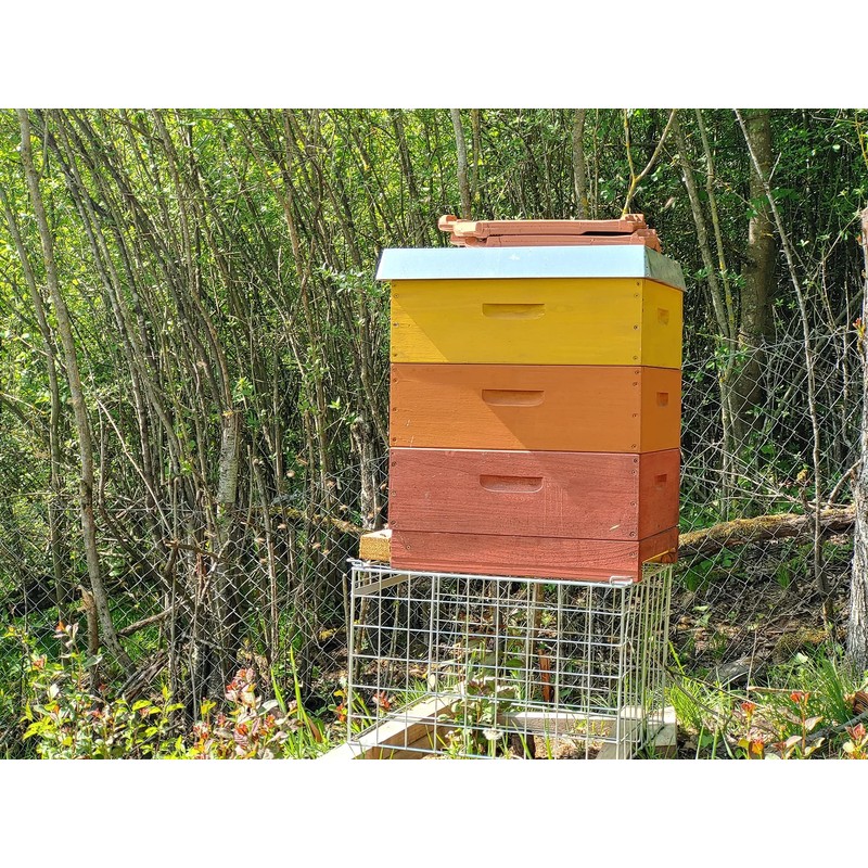 HAresil Bag Protection Colour Glaze Bag Protection Bee Bag Colour
