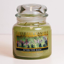 A Cheerful Giver - After The Rain - 16oz Medium Scented Candle Jar with Lid - Cheerful Candle - 80 Hours of Burn Time, Candles Gifts for Women, Violet