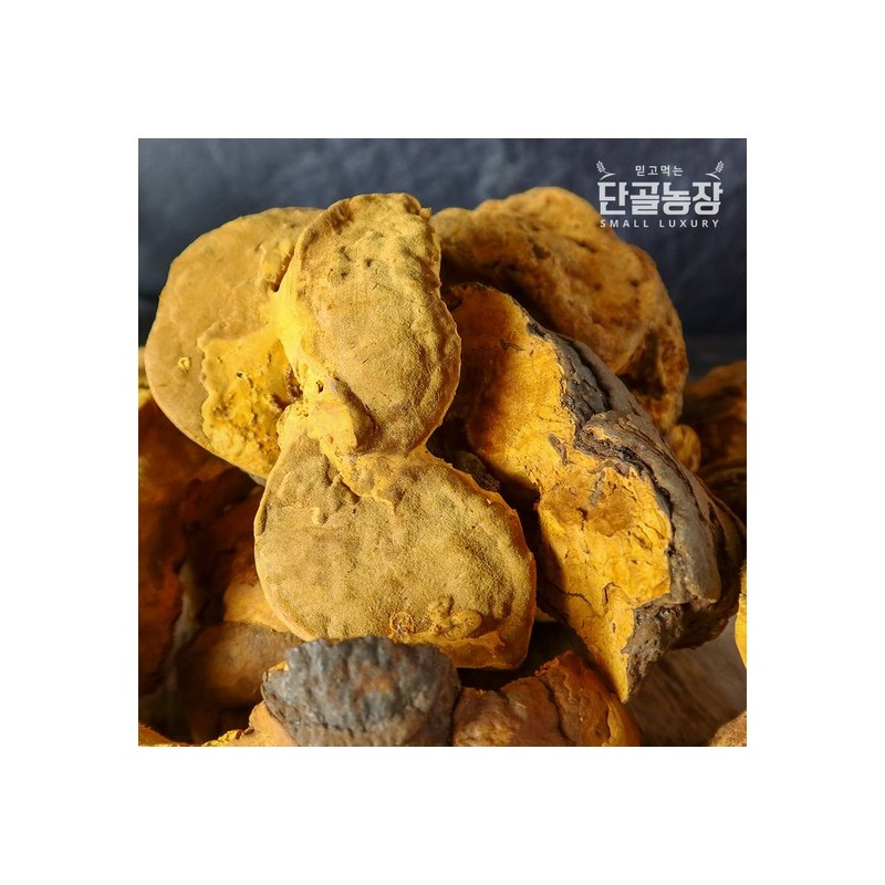 Fresh Day Ryu Chung-hyun Mushroom Master Sanghwang Mushroom Gift Set