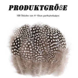 ZXJLWR Pack of 100 Guinea Fowl Feathers for Crafts, 4-10 cm Natural Speckled Feathers, Feathers, Craft Feathers for DIY Earrings, Wedding, Dream Catcher, Hair Accessories, Quail Eggs Decoration