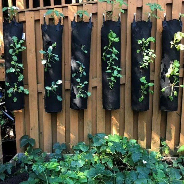 Wall Mounted Rack Multipurpose w/ Garden Grow Bags (3 Count)