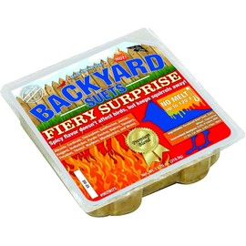 CountryMax Backyard Seeds No Melt Premium Suet Cakes 12 Pack for Wild Birds, Cardinals, Chickadees, Goldfinches (Fiery Surprise)