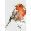 Tea Towel in a Robin Design