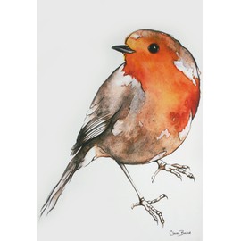 Tea Towel in a Robin Design