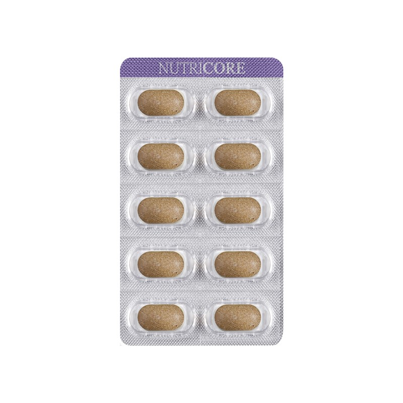 뉴트리코어 파라다이스 그레인 핏 36g, 60정, 1개 Nutricore Paradise Grain