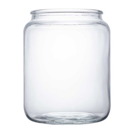 PFNRTH Jar Glass for Squirrel Feeder