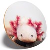 1 x Axolotl Aquarium Dragon Fish - Round Coaster Kitchen