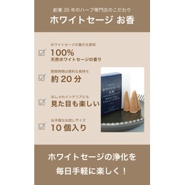 White Sage Purifying Cone Incense, 10 Pack Herb Kobo HCC Original Incense