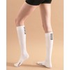 펠레트리코 스포츠 컴프레션 삭스 Pelletrico Sports Compression Socks