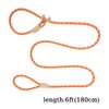 Durable Slip Lead Dog Leash for Training, Heavy-Duty 6 Ft