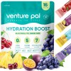 Venture Pal Sugar Free Electrolyte Powder Packets - Liquid Daily