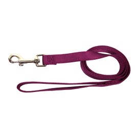 Hamilton 6-Feet Long Single Thick Deluxe Nylon Lead with Swivel Snap, 5/8-Inch, Wine