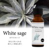 Natural 100% White Sage Oil 20ml Essential Oil Essential Oil
