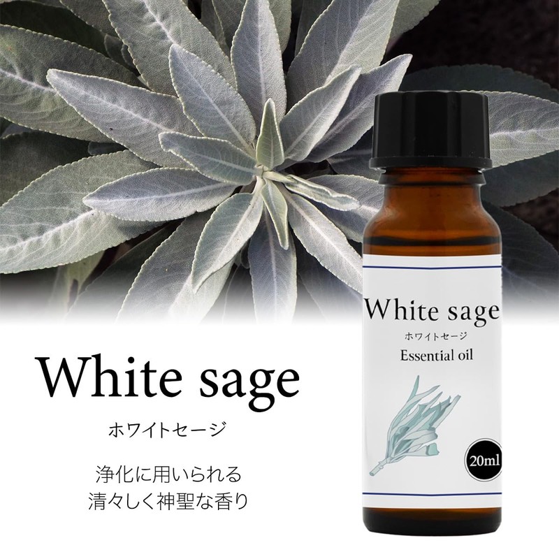 Natural 100% White Sage Oil 20ml Essential Oil Essential Oil