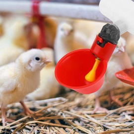 Hffheer Bebederos de Pollo 10Pcs Bebederos automáticos Bebederos de plástico Rojo Patios Traseros Pato Pájaro Codorniz Pigeon Gallina Comedero de Agua Bowl (A)