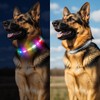 Fiveda Light Up Dog Collar, USB Rechargeable 6 Modes, Waterproof