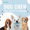 Petcachoo Dog Chew Toys Set