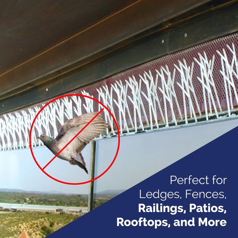 Bird-X Plastic Spikes Kit, Narrow Bird Spikes for Pigeons and