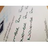 Diamine November Rain Ink 30ml
