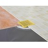 Neodrain Square Shower Drain, 6 in Golden 304 Stainless Steel