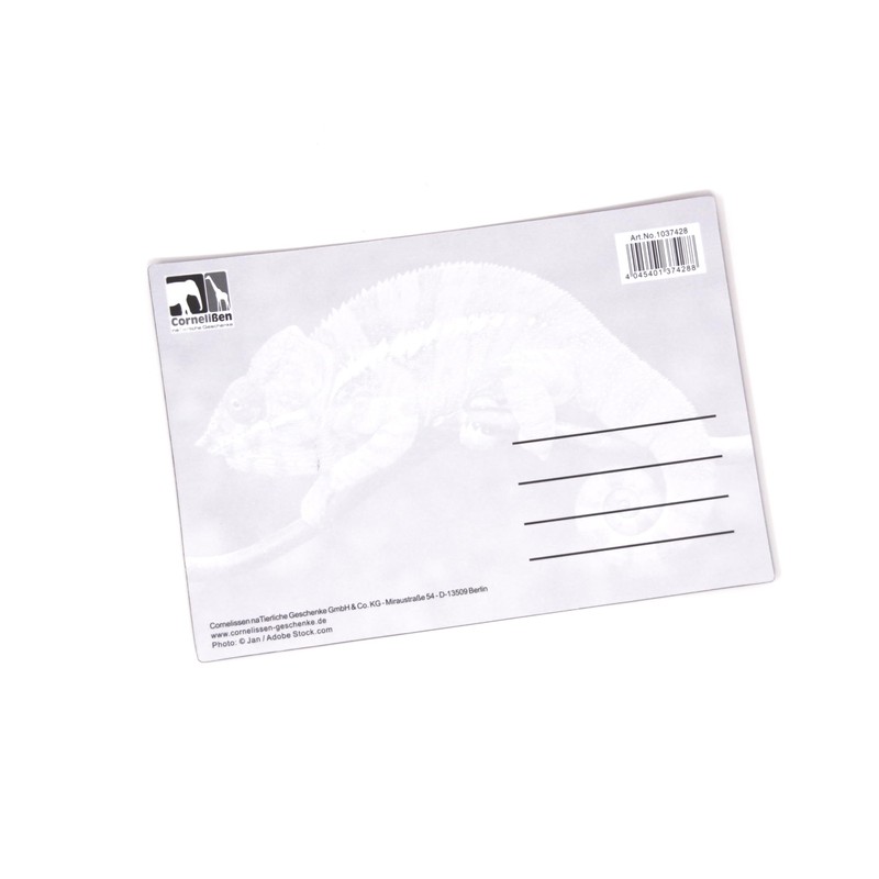 3D Postcard Chameleon Postcard Wobble Card Hologram Card Animal Lizard