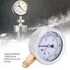 Fydun TS PGG604-400 Bar Y60 Radial Oil Filled Pressure Gauge