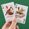 Bird in the Hand Playing Cards
