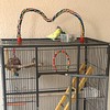 Bird Rope Perches for Parrots, Cockatiels, Parakeets, Budgie Cages Comfy
