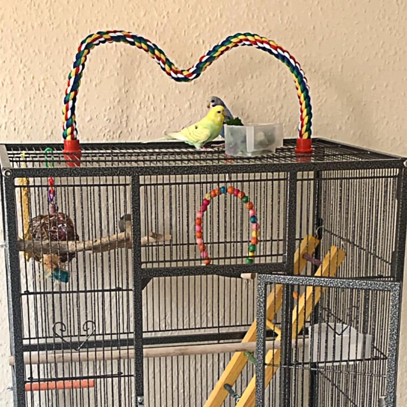 Bird Rope Perches for Parrots, Cockatiels, Parakeets, Budgie Cages Comfy