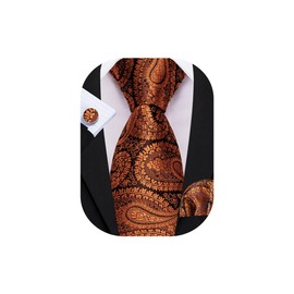 Barry.Wang Terracotta Black Tie for Men Paisley Silk Necktie Pocket Square Cufflinks Formal Wedding Party Business