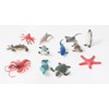 Package of Assorted Sea Life Creatures (1 Dozen)