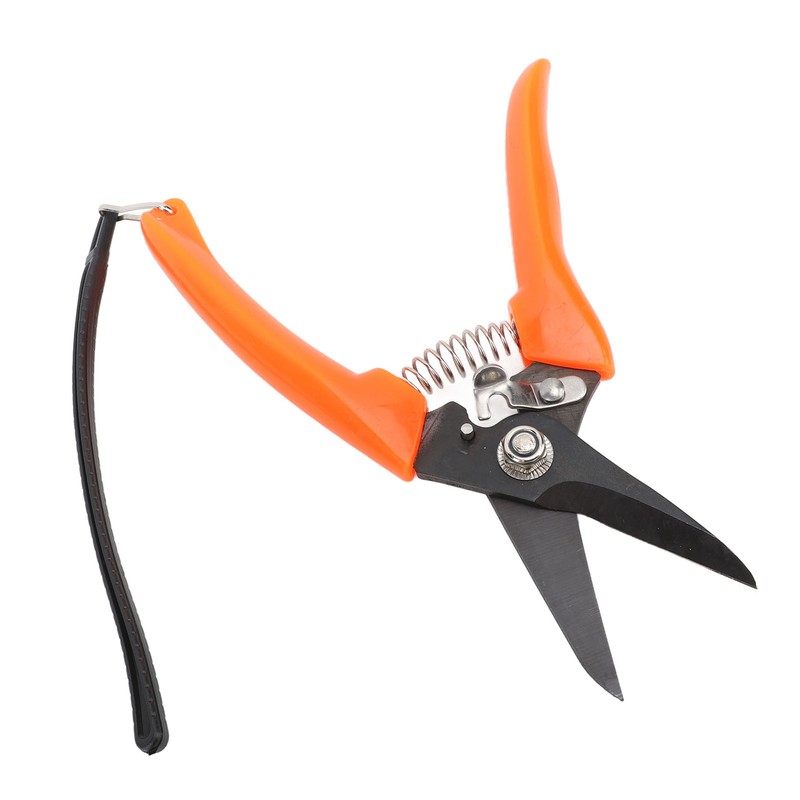 Hoof Shear Red Stainless Steel High Carbon Steel Multifunctional Hoof