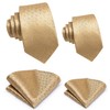 Hi-Tie Father and Son Tie Set Champagne Ties for Men