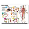 Blue Tree Publishing Vitamins and Anatomy Chart