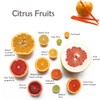 DaylyFav Orange Peelers Cirtus Peels Remover Tool, Citrus Peeler for