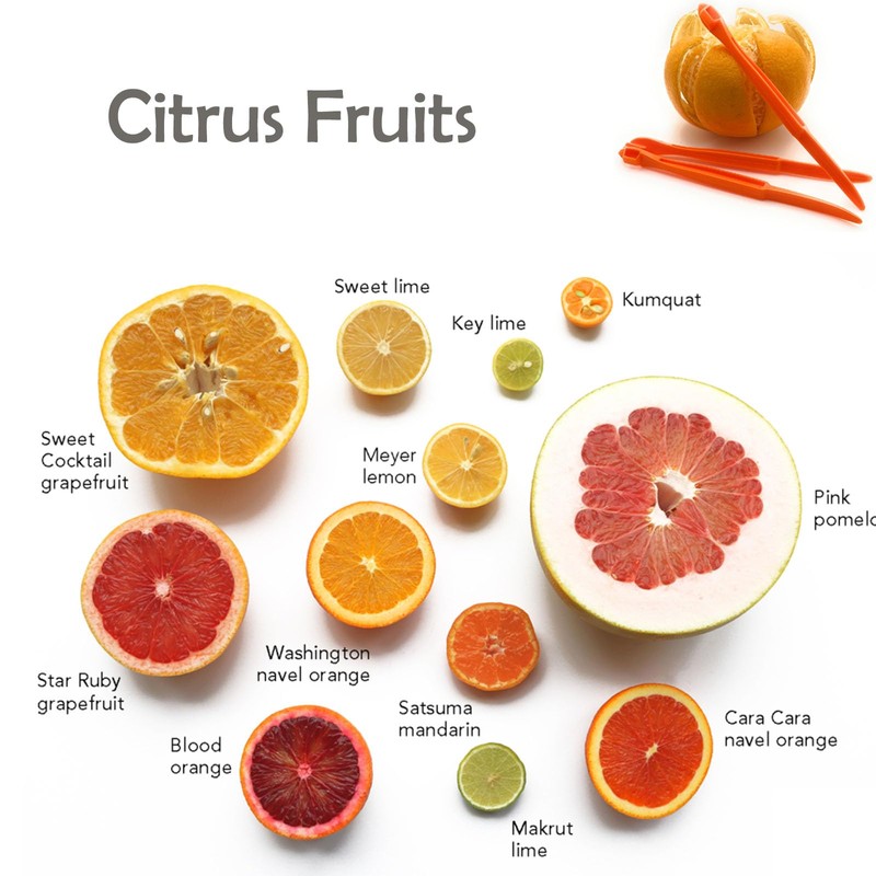DaylyFav Orange Peelers Cirtus Peels Remover Tool, Citrus Peeler for