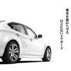 Carmate DZ420 Car Door Guard, White Pearl