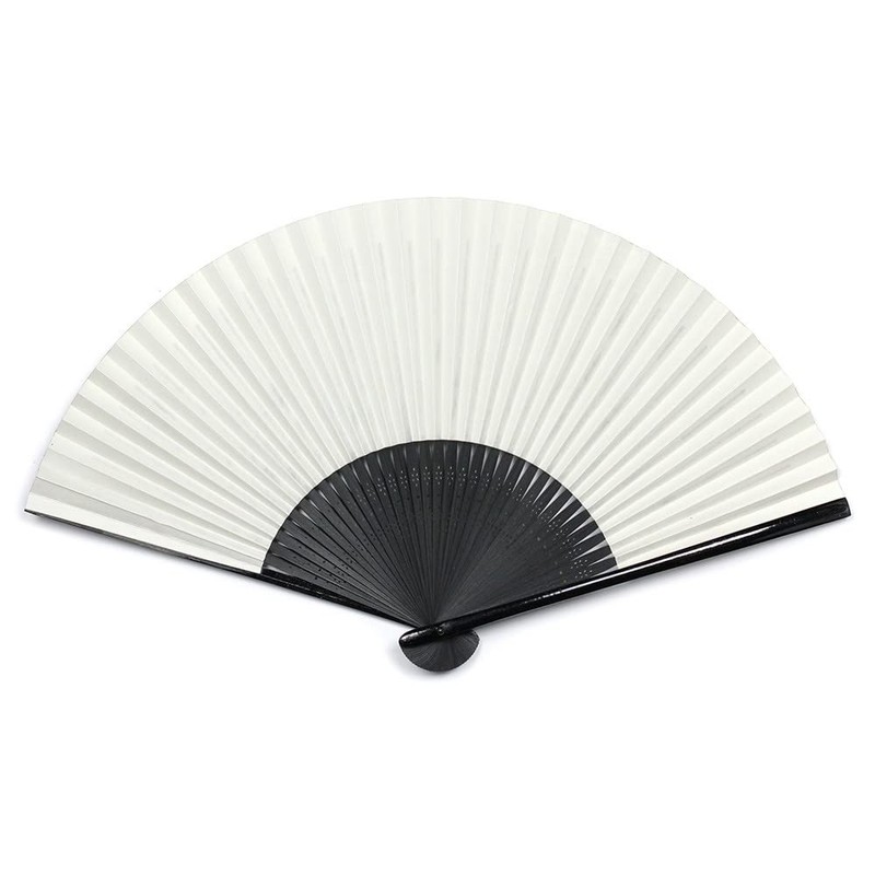 谷口松雄堂 [わがみ小路] 扇子 (応挙扇子 雲龍 紳士用) 江戸絵画の傑作が扇子に！　お土産・プレゼントにおすすめです