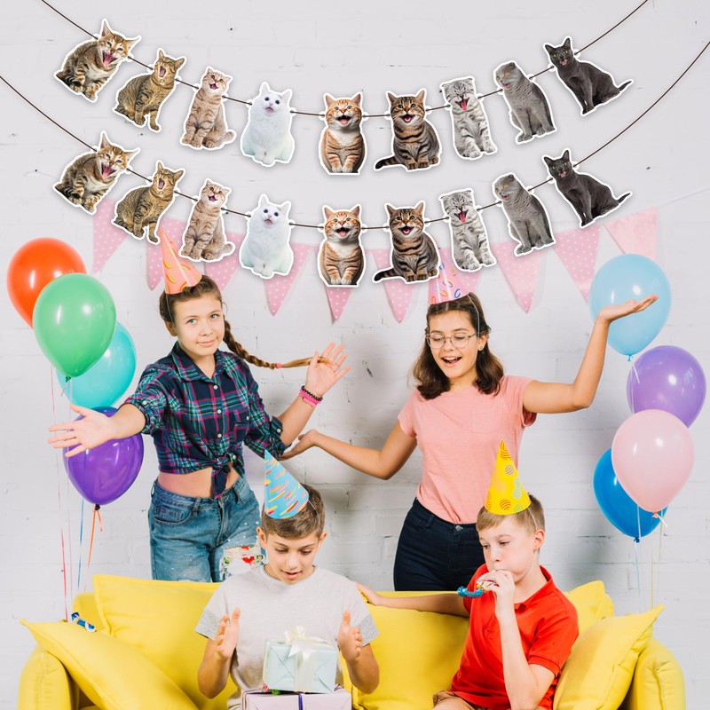 Cat Party Garland Cat Faces Birthday Garland Kitties Birthday Party