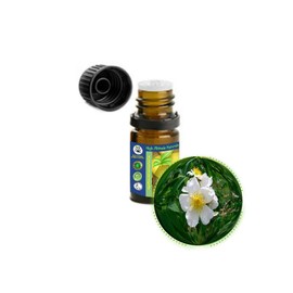 5ml (1/6oz) Wild Musk Rose Essential Oil (Rosa Moschata) -100% Pure, Undiluted, Uncut - "Elixir of Youth" for Skin Care, Aromatherapy, Massage, Perfumery - Add to Favorite Moisturizer, Cream, Lotion