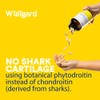 Vegan Glucosamine Phytodroitin by Wellgard - Quercetin, MSM, Botanical Alternative