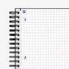 Hamelin 1 Subject, Graph Paper, Hard Cover Spiral Bound Grid