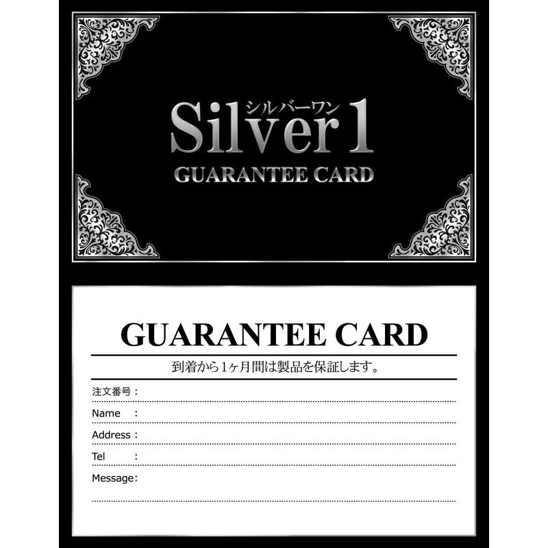 [Silver One] 2 Feather Native Series Keychain Men's Ma [Antique