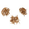 BambooMN Ginseng Root Large 3 Year Old American Grown Cultivated