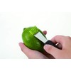 Endoshoji TKG BKTJ401 Professional Kitchen Tool, Lemon Zester with Polypropylene