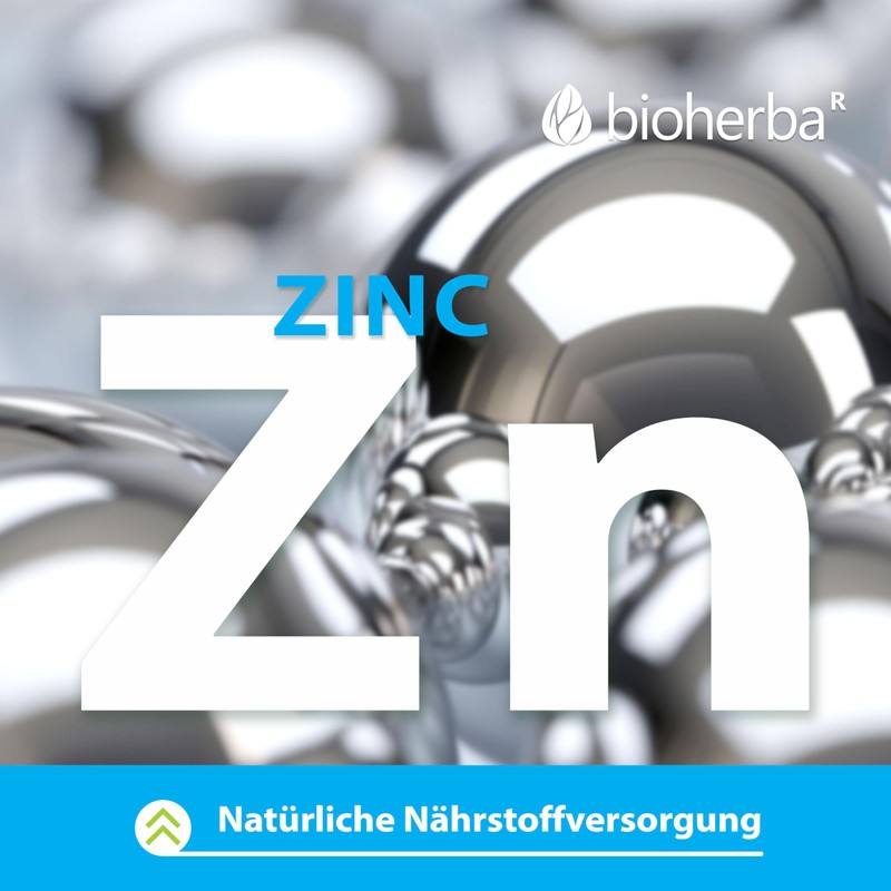 Papaya-Blatt Kapseln – 300 Stück mit 250 mg Papaya-Extrakt von BIOHERBA