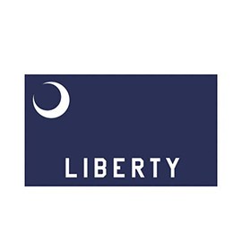 MAGNET Fort Moultrie Flag Militia Liberty Magnetic Vinyl Car Fridge Sticks to any Metal Surface 5"